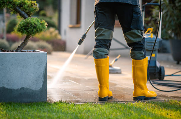 Best Roof Pressure Washing  in Port Ludlow, WA